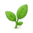 Nature worksheets